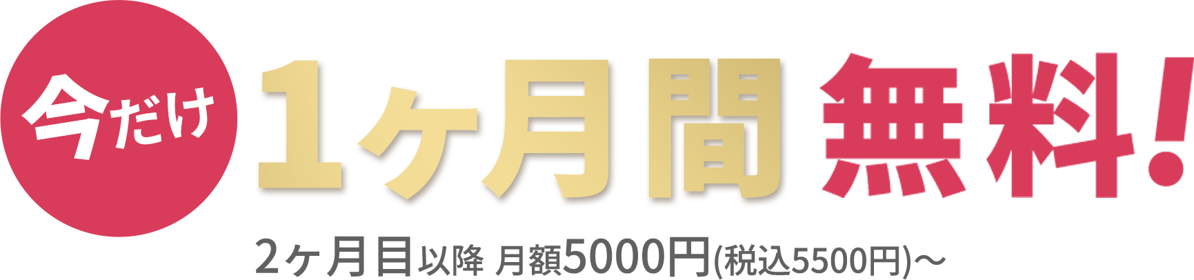 月額5000円